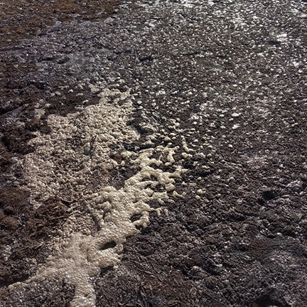 Utilização do RBR Compost Premium em dejetos suínos