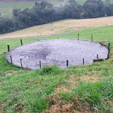 Utilização do RBR Compost Premium em dejetos de suínos