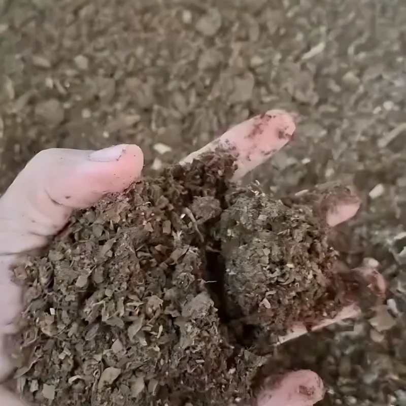 RBR Compost BSP - Melhoria da cama de frango