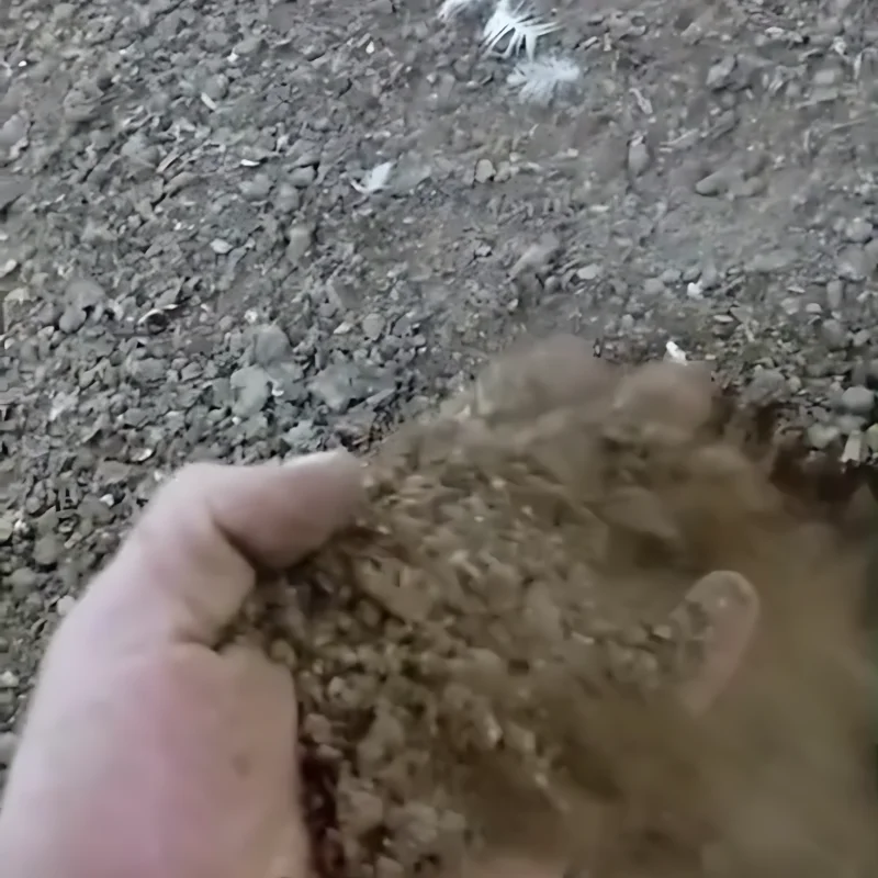 RBR Compost BSP - Melhoria da cama de frango