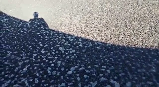 Fermentação do chorume durante o tratamento de dejetos suínos com RBR Compost Premium 4.2