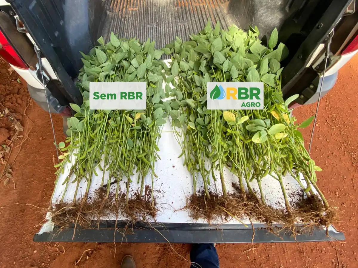 RBR Compost Soil - Aplicação no solo (Soja)