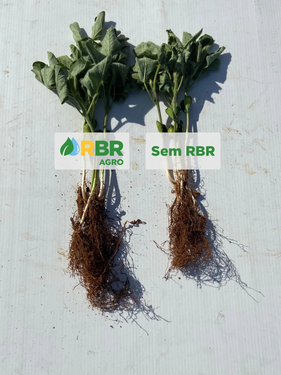 RBR Compost Soil - Aplicação no solo (Soja)